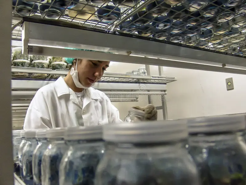 Embrapa Laboratory