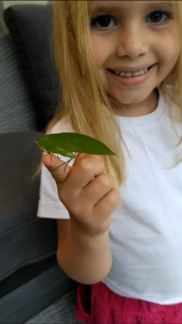 Trinity holding a katydid